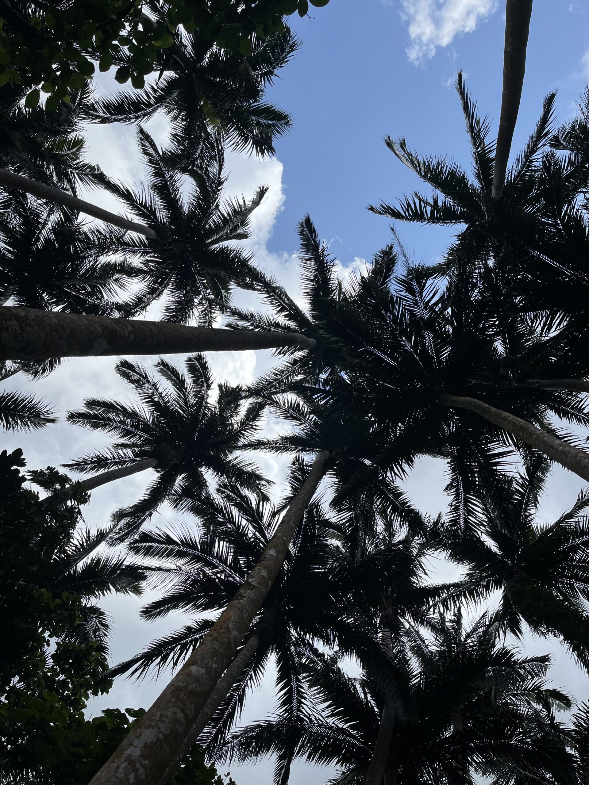 一歩を踏み出すと見える景色がある～キャリアカウンセリング